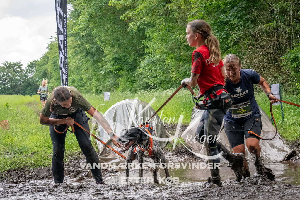 1516_ZZ92494-Bearbeitet | kk-dogfotos