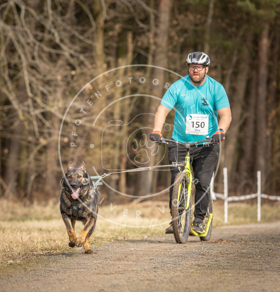 DV3A4811 | Hundefotografie, Tierfotograf, Pfotenfotografie, Fotoshooting Hund, Hunde Portrait, Hundesport, Hundeportraits, Heideshooting, Hunde, Sportfotograf, Hundefotograf, Turnierhundsport, THS,  - Realisiert mit Pictrs.com