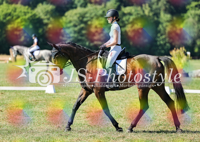 20260628_14a_VA_Dressur-134 | JS-Photostyle - Sport-/Portrait- & Eventfotografie
