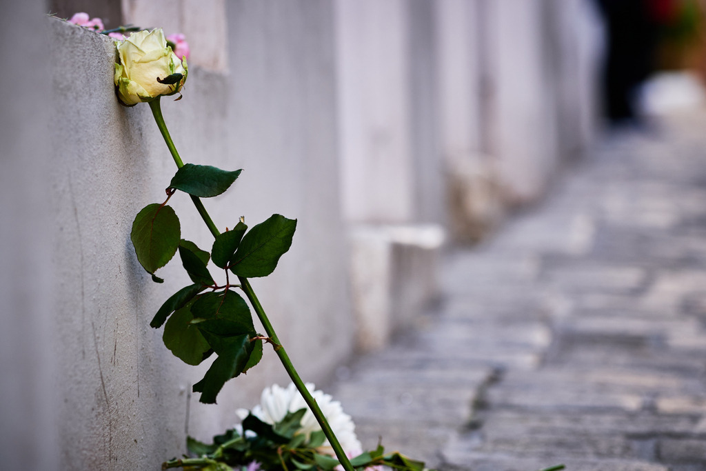 weiße Rose am Tatort | Wien, Austria - November 06, 2020: Gedenken an den Terroranschlag vom 02.11.2020, weiße Rose am Tatort. - Realisiert mit Pictrs.com