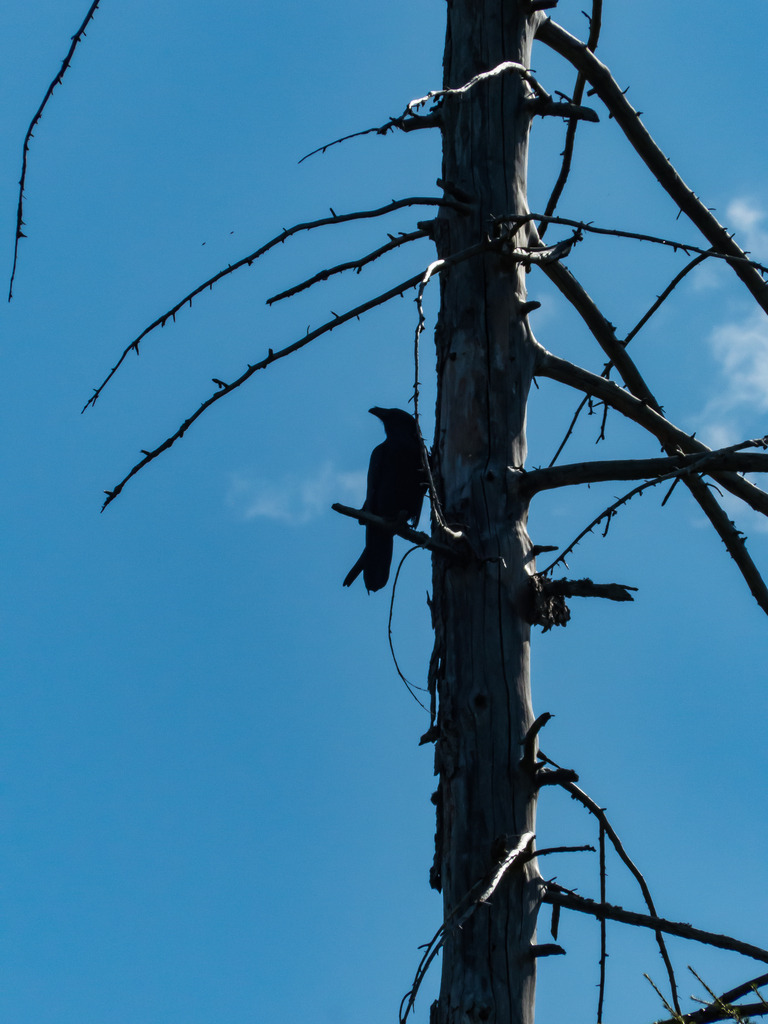 PSX_20230820_223550 | mtkfoto_ - Realisiert mit Pictrs.com