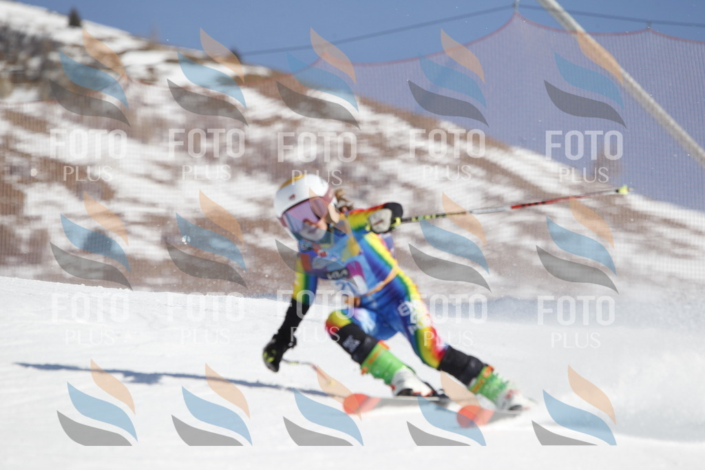 _U3G8873 | holidayphoto