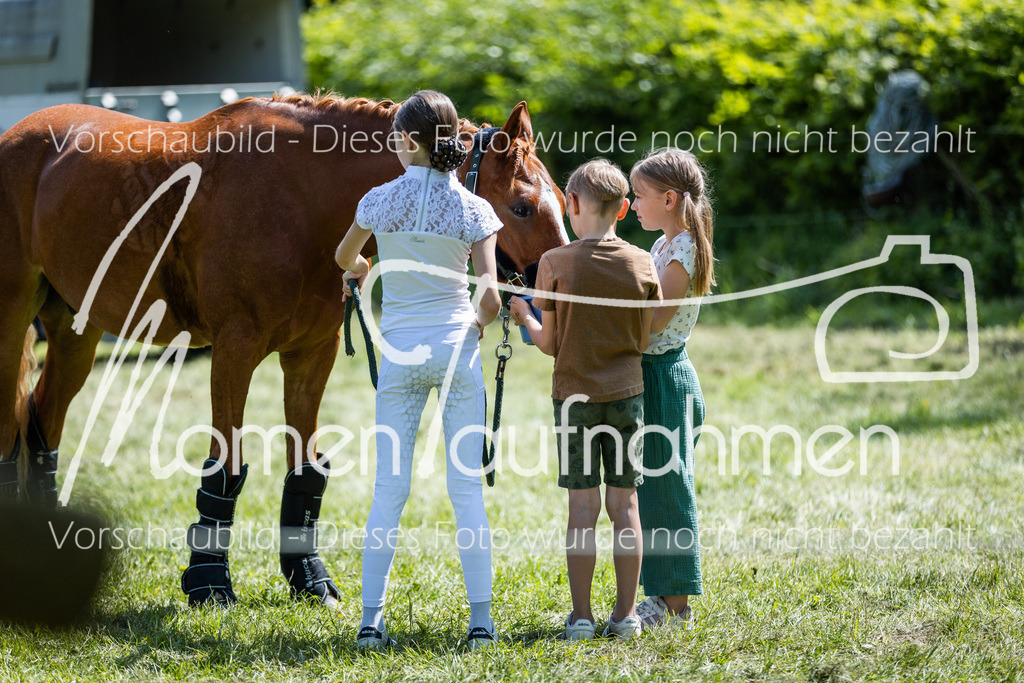 HH-Randmomente-002-4 | MomenTaufnahmen Pferdesportfotos