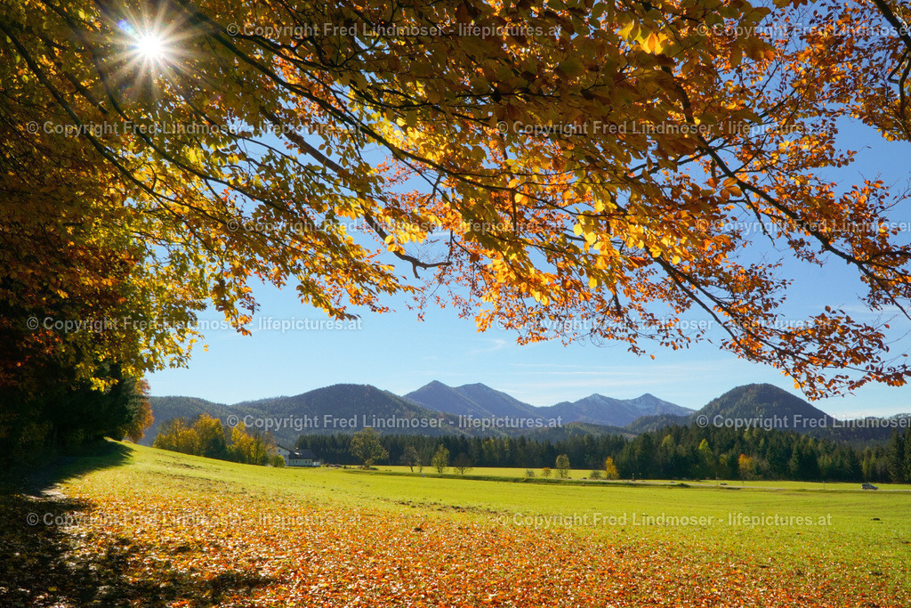 DSC02110_ | Fotos und Fotoprodukte - Realisiert mit Pictrs.com