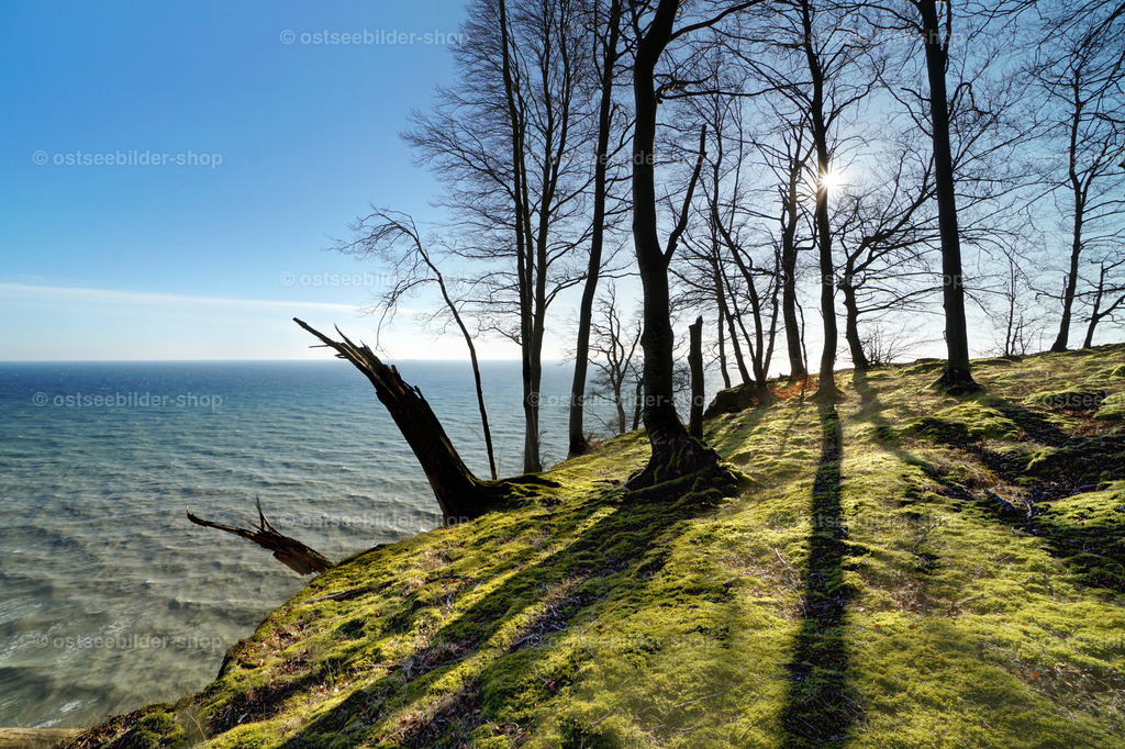 Abbrechender Wald an der Ostsee | Wer so nah am Wasser baut, hat eine glänzende Aussicht, aber auch eine geringere Lebenserwartung.