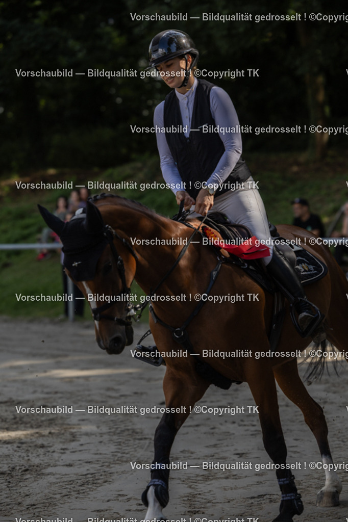 _D5A1595 | Emotionale Pferde- & People-Fotografie rund um Heidelberg, Leimen & Umgebung. Natürliche Fotos von Pferd, Mensch & Familie. Jetzt Termin sichern!