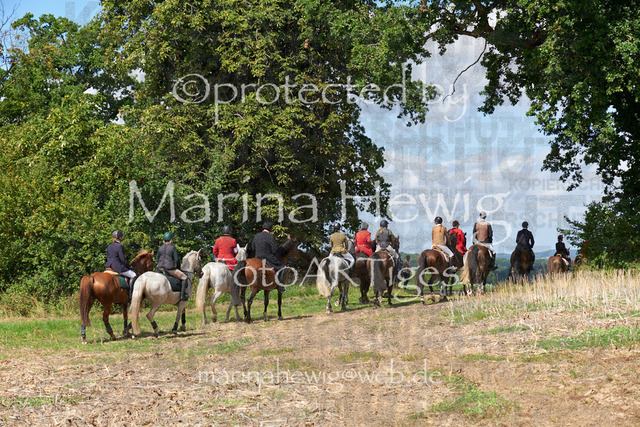 DSC01448_Marina Hewig | Fotografie, FotoArt, PferdesportArt, Pferdesportfotografie, Landschaftsfotografie, Reisefotografie, Reise, Pferde - Realisiert mit Pictrs.com