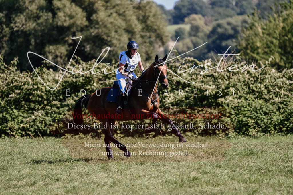 DSC_2004 | Pferde- und Turnierfotografie in Westsachsen. Pferdeportraits, Auftragszeichnungen und intuitive Kunst.
