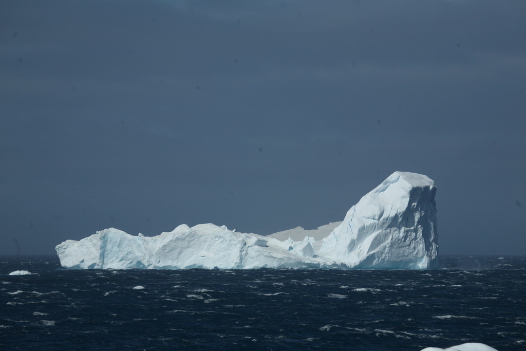 IMG_8517 | Antarktis / Antarctica - Realisiert mit Pictrs.com