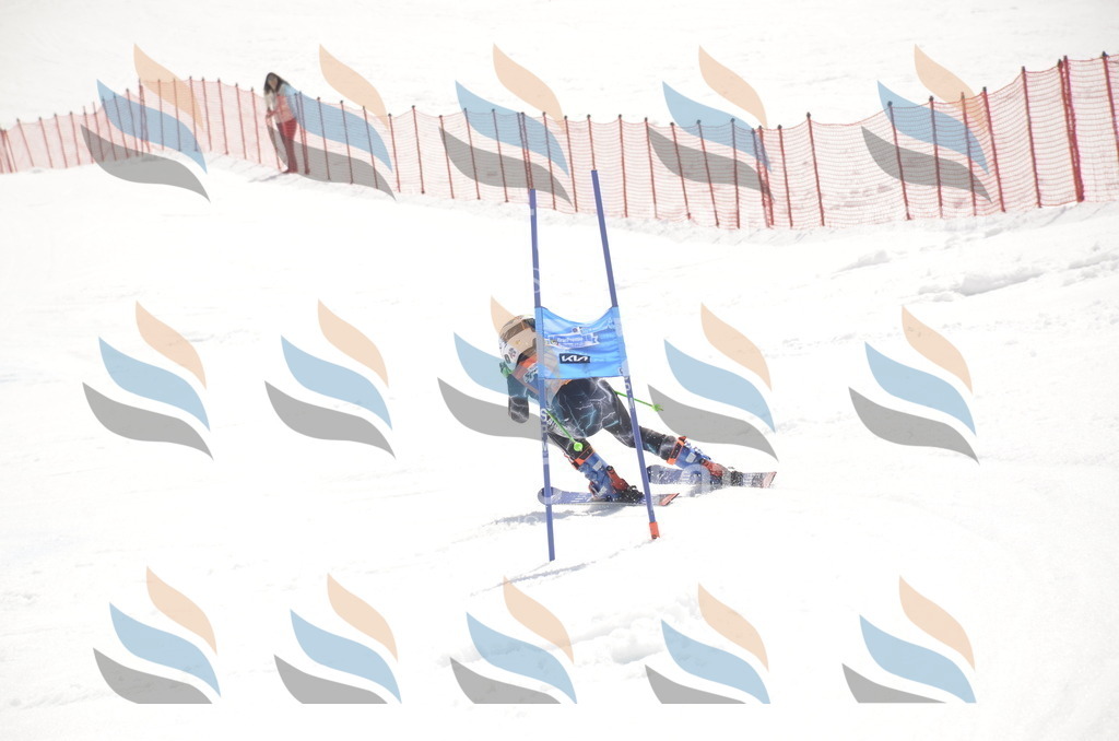 _ELE9352 | holidayphoto