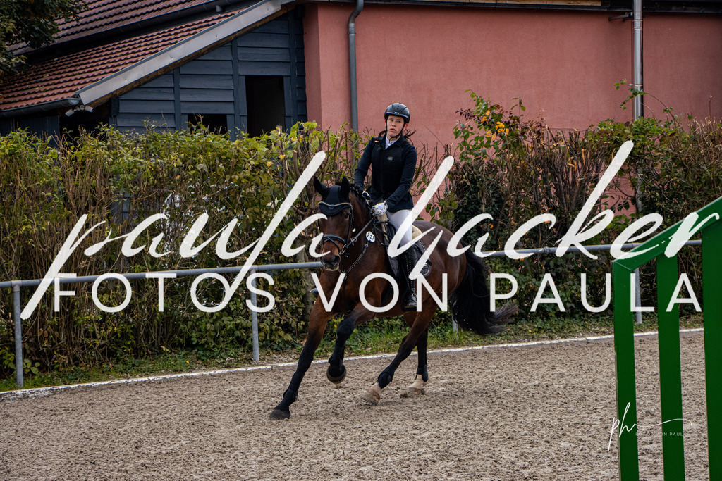 IMG_3725 | Erleben Sie dynamische Sport- und emotionale Tierfotografie in Süddeutschland mit Fotos von Paula. Spezialisiert auf Pferde- und Hundefotografie sowie Sportevents. Kontaktieren Sie mich für einzigartige und ausdrucksstarke Bilder Ihrer besonderen Momente. - Realisiert mit Pictrs.com