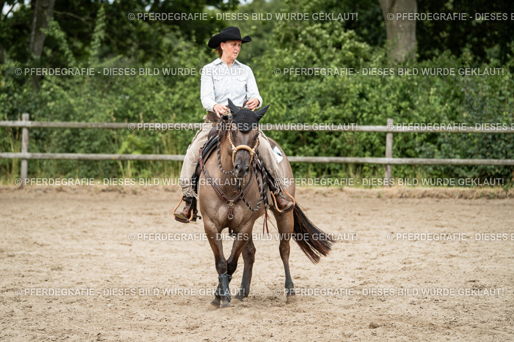 DSC02351 | Pferdegrafie