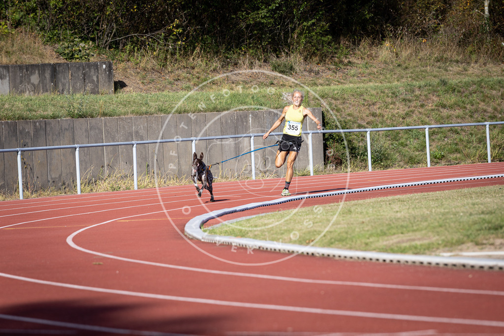 Pfotenfotografie_DV3A9604 | Hundefotografie, Tierfotograf, Pfotenfotografie, Fotoshooting Hund, Hunde Portrait, Hundesport, Hundeportraits, Heideshooting, Hunde, Sportfotograf, Hundefotograf, Turnierhundsport, THS,  - Realisiert mit Pictrs.com