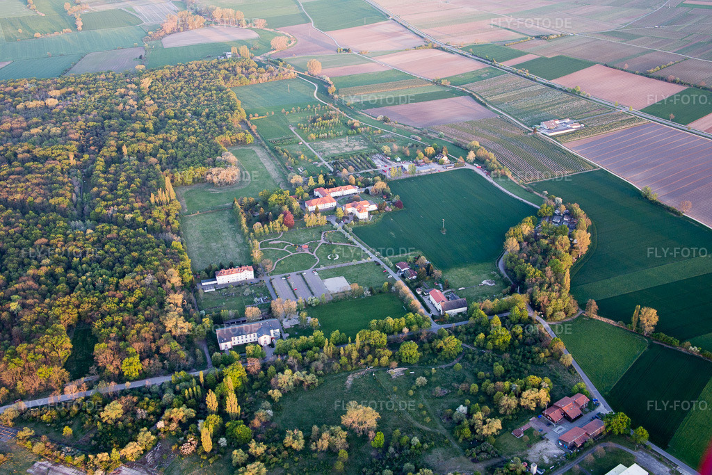 Luftbild: Campus Lachen Diakonissen im Ortsteil Speyerdorf in Neustadt im Bundesland Rheinland-Pfalz in Deutschland. Foto: IMG_077543.jpg vom 21.04.2015 durch Werner Riehm/FLY-FOTO.de