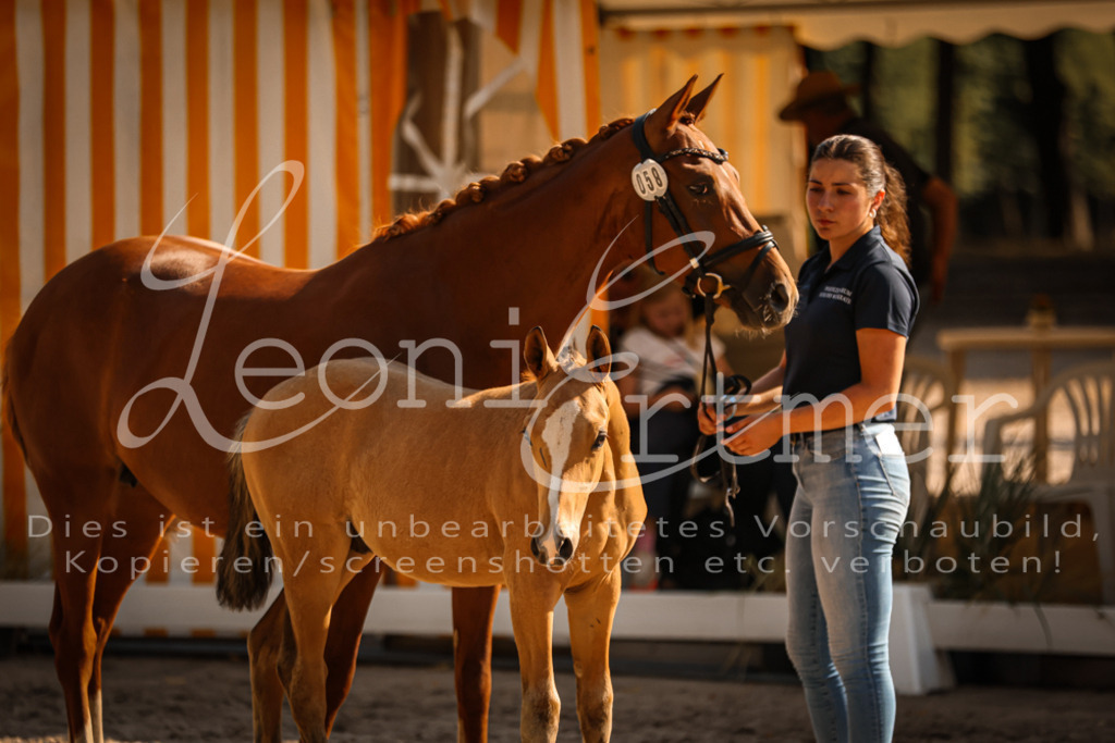 11.DoRP00134 | Leoni Ertmer Photography - Realisiert mit Pictrs.com