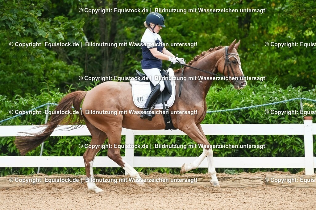 20230715_07_Dressurpferdeprfg. Kl.L_0037 | equistock