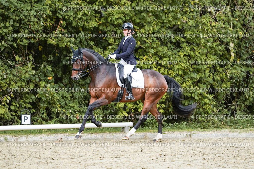 DSC06501 | Pferdegrafie