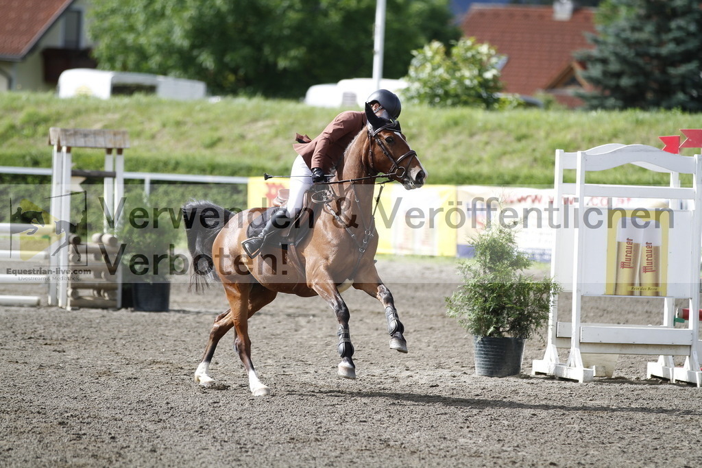 _MG_2253 | equestrian-live-com