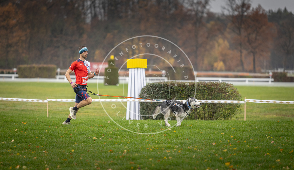 CaniXpix_DV3A9531 | Hundefotografie, Tierfotograf, Pfotenfotografie, Fotoshooting Hund, Hunde Portrait, Hundesport, Hundeportraits, Heideshooting, Hunde, Sportfotograf, Hundefotograf, Turnierhundsport, THS,  - Realisiert mit Pictrs.com