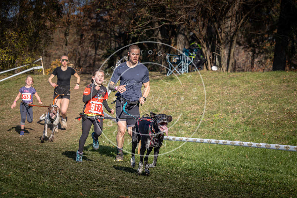 CaniXpix_0L8A8615 | Hundefotografie, Tierfotograf, Pfotenfotografie, Fotoshooting Hund, Hunde Portrait, Hundesport, Hundeportraits, Heideshooting, Hunde, Sportfotograf, Hundefotograf, Turnierhundsport, THS,  - Realisiert mit Pictrs.com