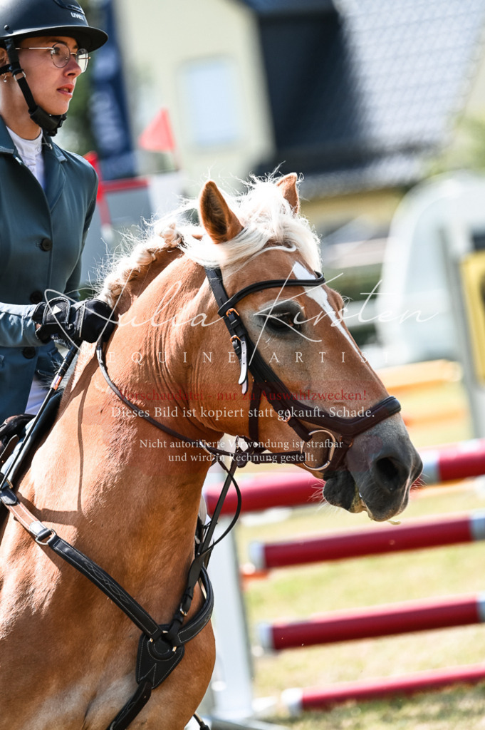 DSC_8786 | Pferde- und Turnierfotografie in Westsachsen. Pferdeportraits, Auftragszeichnungen und intuitive Kunst.
