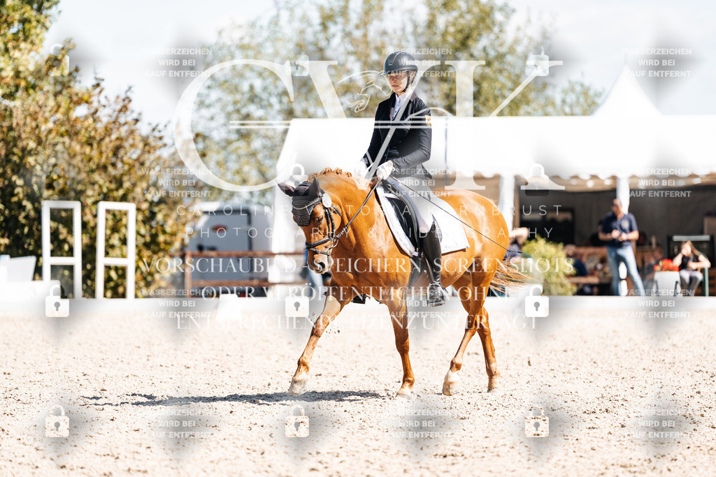 CK903533 | Turnierfotografie Pferdefotografie Trier Rheinland-Pfalz Pferdesport Reitsport Tierfotografie Sportfotografie Pferdevideo Pferdevideografie Equestrianvideography equestrianphotography  - Realisiert mit Pictrs.com