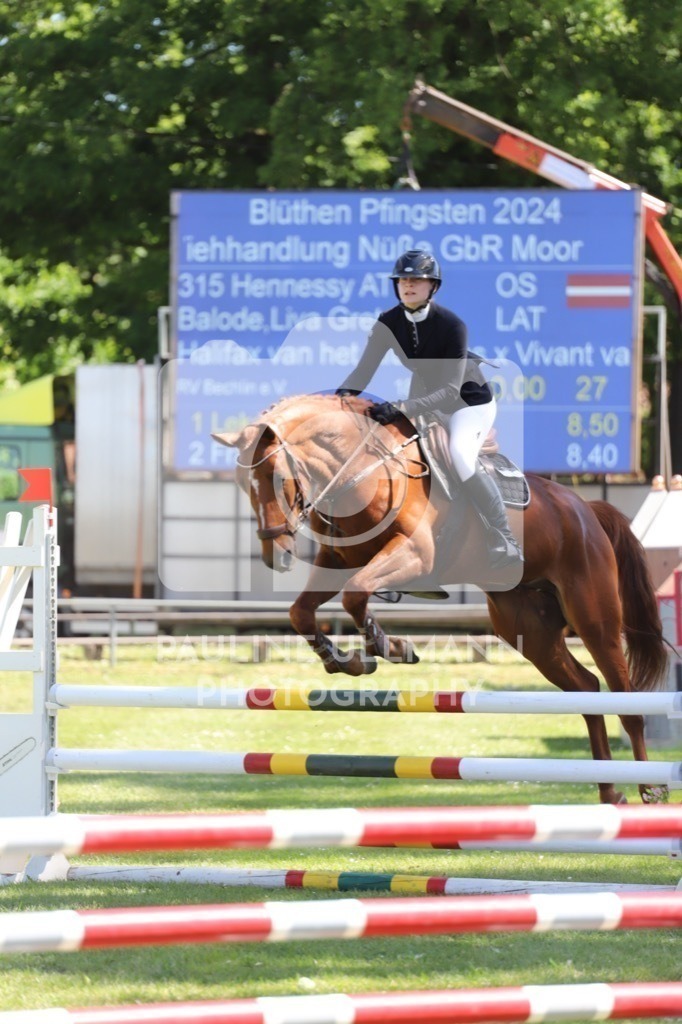 IMG_6141 | Pauline Ullmann Photography - Realisiert mit Pictrs.com