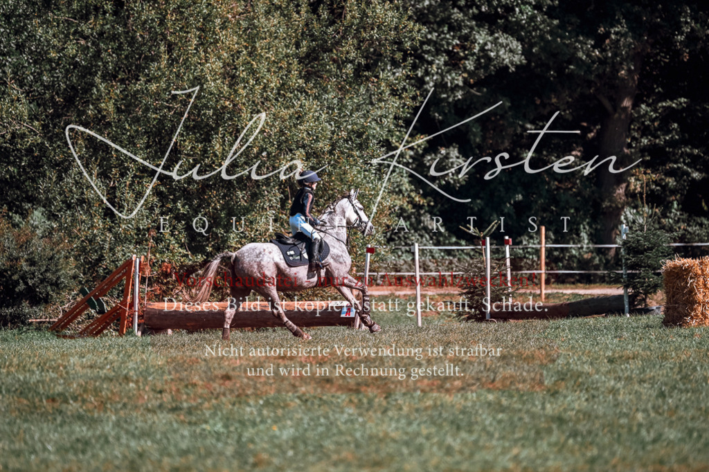 DSC_1155 | Pferde- und Turnierfotografie in Westsachsen. Pferdeportraits, Auftragszeichnungen und intuitive Kunst.