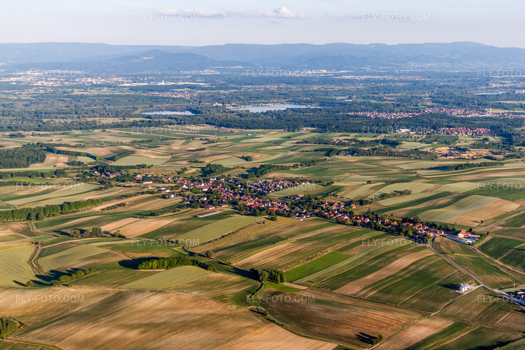Aerial view: Agricultural fields and arable land in Wintzenbach in the state Bas-Rhin, France.Photo: IMG_66674.jpg taken on 06/05/2014 by Werner Riehm/FLY-FOTO.comResolution of the original: 4752 x 3168 px