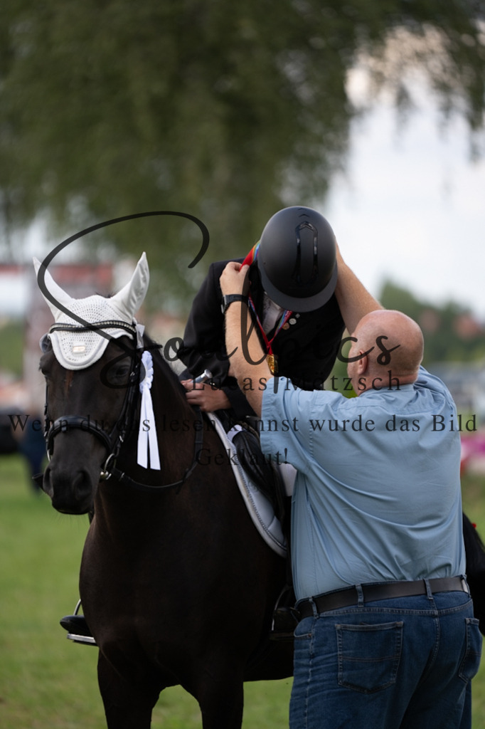 A7V03559 | Pferdefotograf