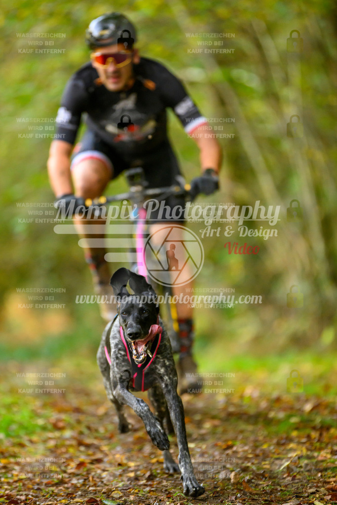 MompixPhotography_20TSB_E1_Bike-21 | PayLife