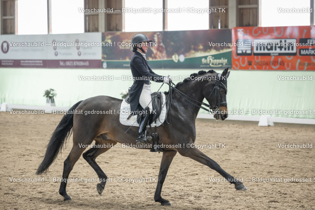 _D5A5210 | Emotionale Pferde- & People-Fotografie rund um Heidelberg, Leimen & Umgebung. Natürliche Fotos von Pferd, Mensch & Familie. Jetzt Termin sichern!