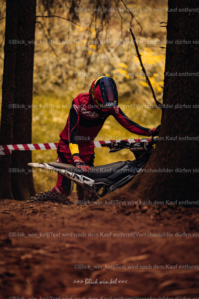 E68A4427 | blick_win_kel