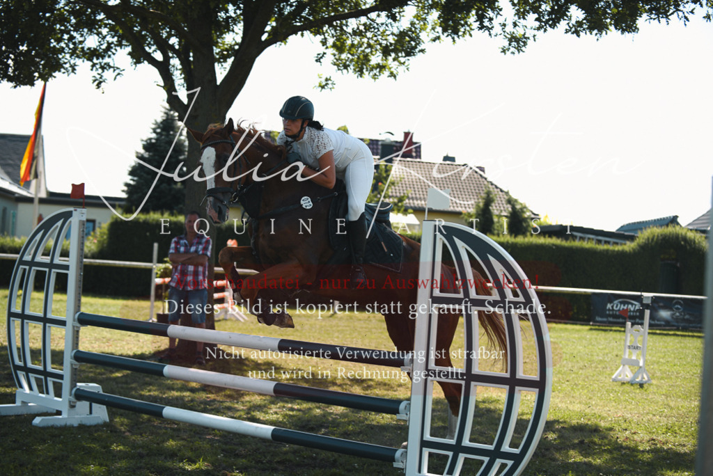 DSC_7123 | Pferde- und Turnierfotografie in Westsachsen. Pferdeportraits, Auftragszeichnungen und intuitive Kunst.