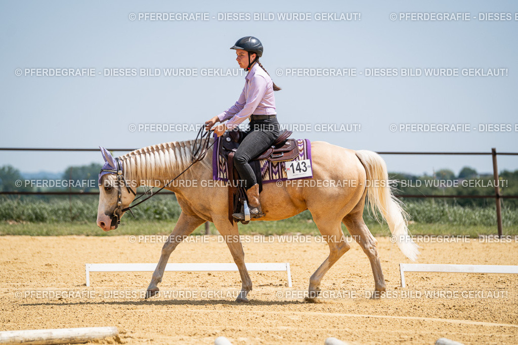 DSC01092 | Pferdegrafie