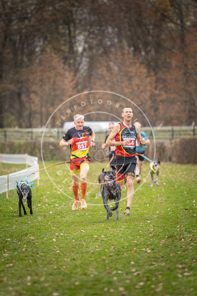 CaniXpix_DV3A6680 | Hundefotografie, Tierfotograf, Pfotenfotografie, Fotoshooting Hund, Hunde Portrait, Hundesport, Hundeportraits, Heideshooting, Hunde, Sportfotograf, Hundefotograf, Turnierhundsport, THS,  - Realisiert mit Pictrs.com