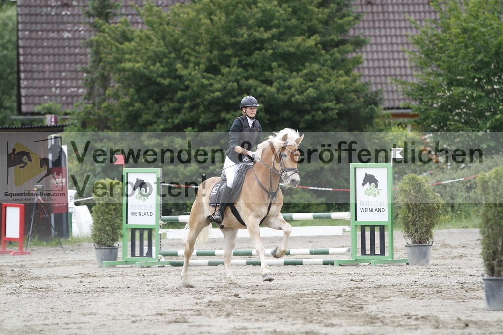 _MG_6500 | equestrian-live-com