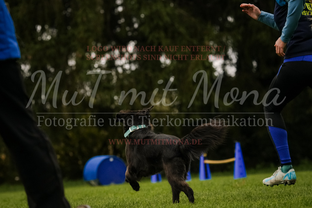 20251005_THS_Turnier-424 | MuT (Mensch und Tier) mit Mona - Fotografie und Tierkommunikation - Realisiert mit Pictrs.com