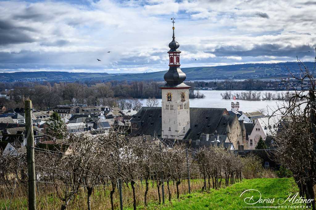 Der Rheingau und Umgebung | Der Rheingau und Umgebung