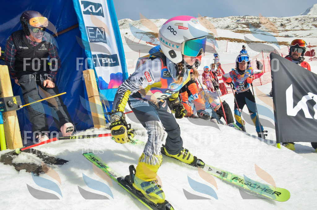 _ELE4772 | holidayphoto