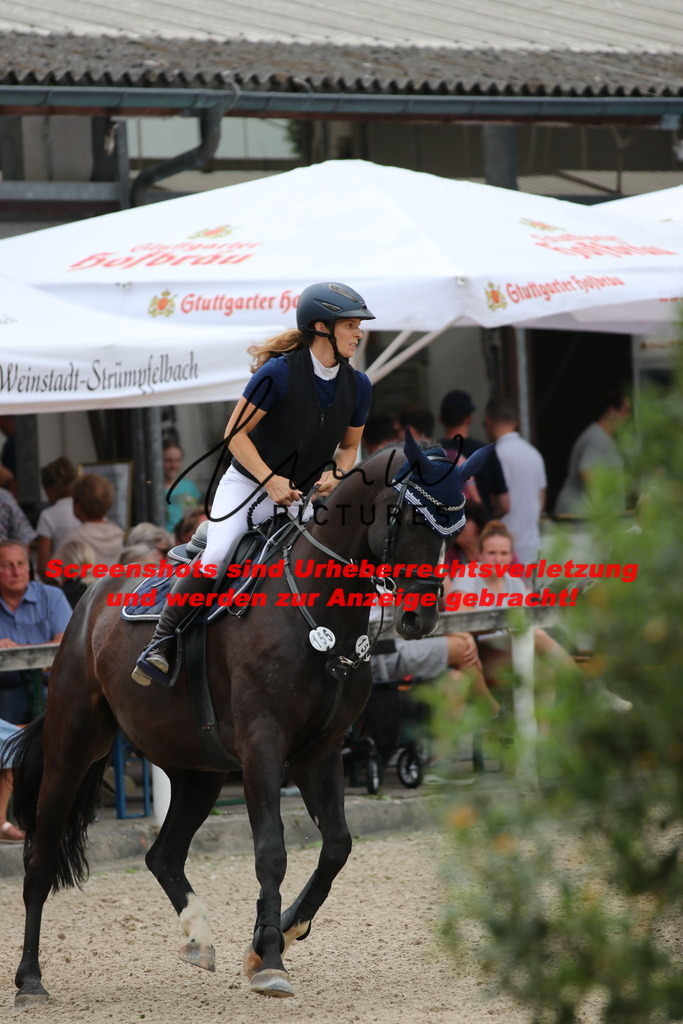 IMG_2210 | lmwpictures - Realisiert mit Pictrs.com