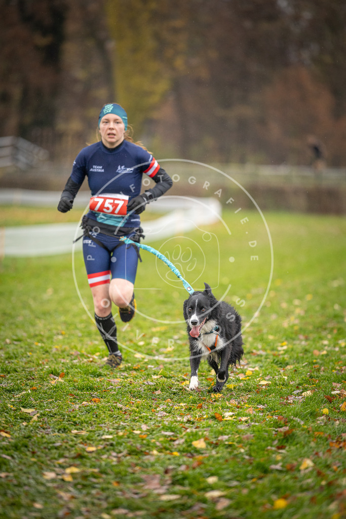 CaniXpix_DV3A9562 | Hundefotografie, Tierfotograf, Pfotenfotografie, Fotoshooting Hund, Hunde Portrait, Hundesport, Hundeportraits, Heideshooting, Hunde, Sportfotograf, Hundefotograf, Turnierhundsport, THS,  - Realisiert mit Pictrs.com