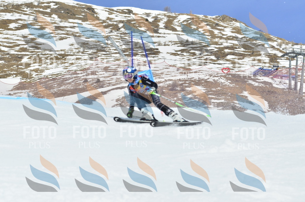 _ELE2605 | holidayphoto