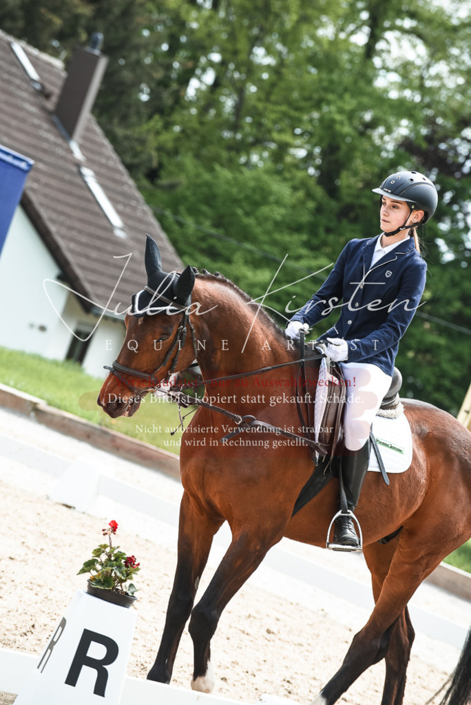 20230518_JK-Röhrsdorf-11-0102 | Pferde- und Turnierfotografie in Westsachsen. Pferdeportraits, Auftragszeichnungen und intuitive Kunst.