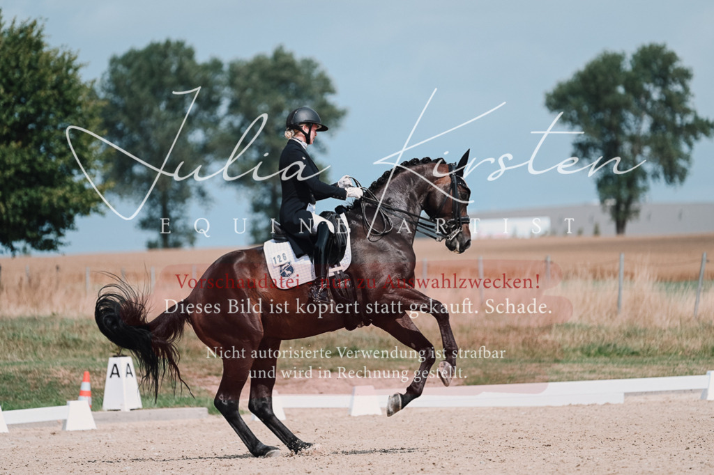 DSC_4338-2 | Pferde- und Turnierfotografie in Westsachsen. Pferdeportraits, Auftragszeichnungen und intuitive Kunst.