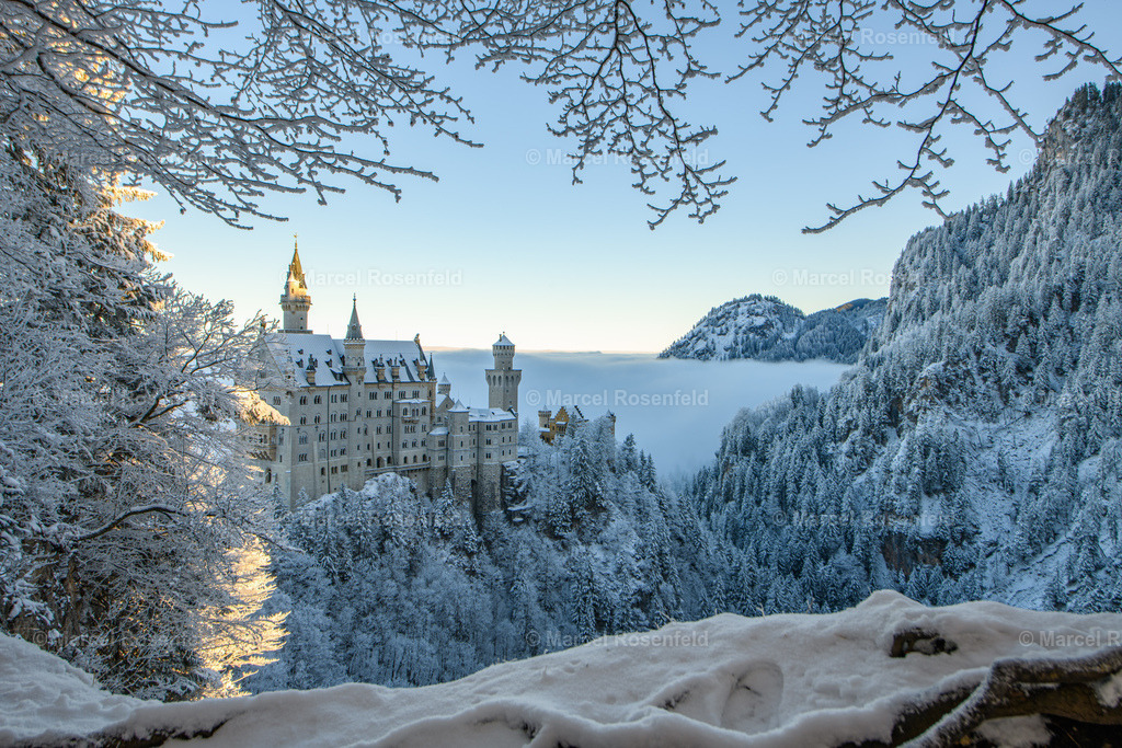 _DSC4542 | foto-rosenfeld