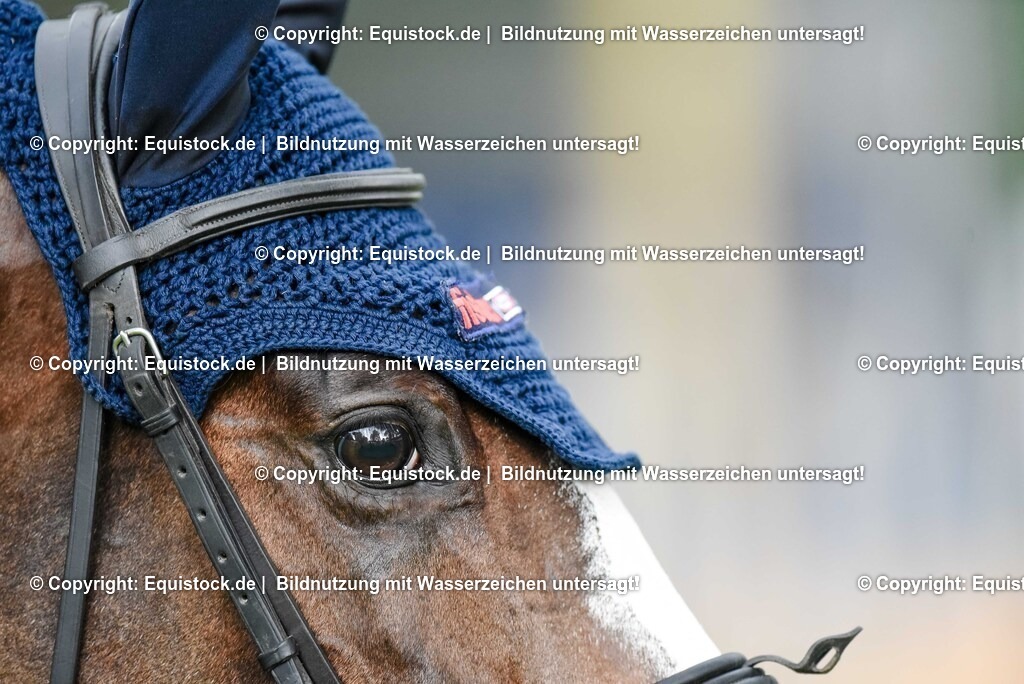 20250607_27_CCI4_Gelände_0630 | Foto: Thomas Hartig