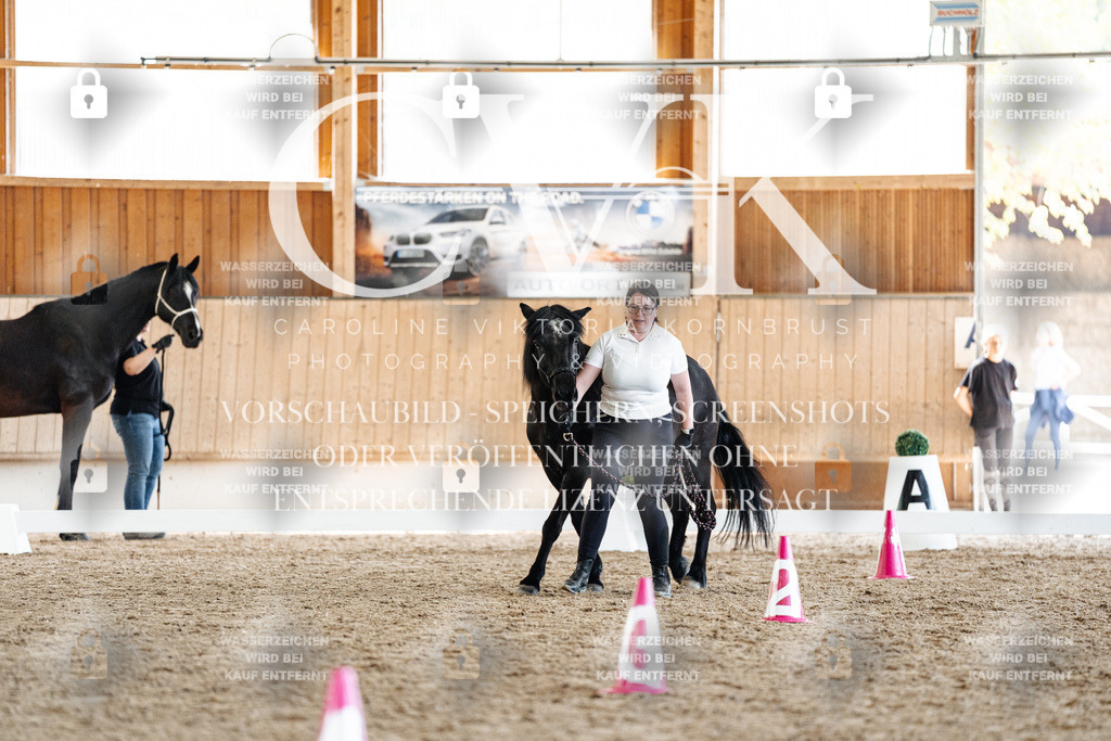 CK907515 | Turnierfotografie Pferdefotografie Trier Rheinland-Pfalz Pferdesport Reitsport Tierfotografie Sportfotografie Pferdevideo Pferdevideografie Equestrianvideography equestrianphotography  - Realisiert mit Pictrs.com