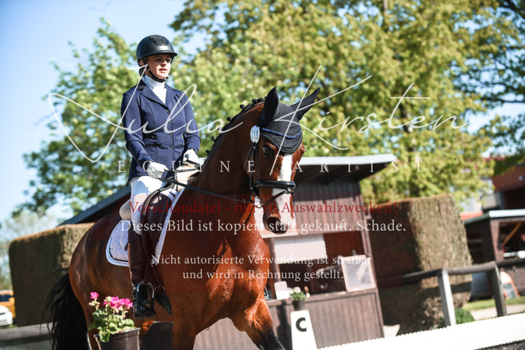 DSC_8522 | Pferde- und Turnierfotografie in Westsachsen. Pferdeportraits, Auftragszeichnungen und intuitive Kunst.