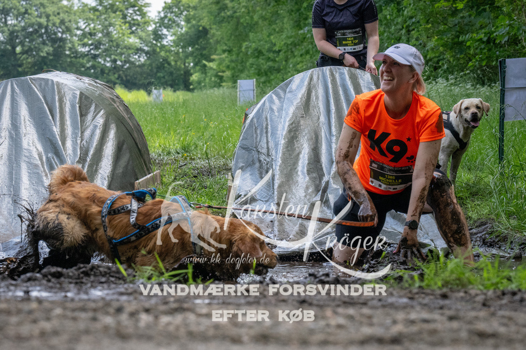 1145_ZZ94383 | kk-dogfotos